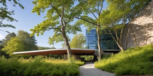 corten steel,gulbenkian,landscape design sydney,glucksman,schulich,landscape designers sydney,3d rendering,landscaped,uvic,ubc,cantilevered,cantilevers,bunshaft,snohetta,embl,camosun,revit,forest house,langara,libeskind,Photography,General,Realistic