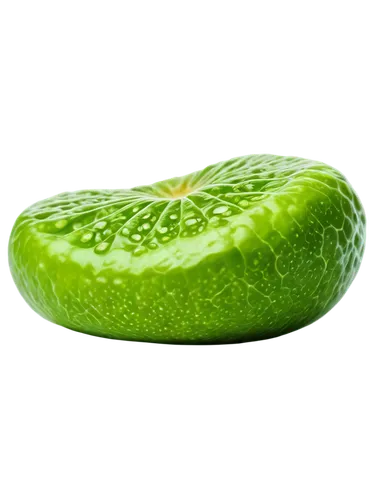 patrol,sliced lime,chayote,muskmelon,green kiwi,aaaa,aaa,limerent,melon,lime slices,lime,green apple,cucumber,defend,gustava,cucurbitaceae,feijoa,wall,kiwifruit,guava,Conceptual Art,Daily,Daily 04