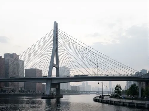 Sleek vehicular bridge, international style architecture, curved lines, minimalist design, steel beams, cable-stayed systems, suspension cables, modern roadway, urban cityscape, river crossing, waterf