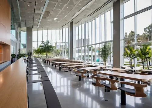 cafeteria,lunchroom,canteen,lunchrooms,wintergarden,cafeterias,shorecrest,school design,shenzhen vocational college,cafeteros,ucsd,cquniversity,csuf,technion,lecture hall,atlantic grill,csulb,eckerd,fidm,hurricane benilde,Conceptual Art,Sci-Fi,Sci-Fi 10