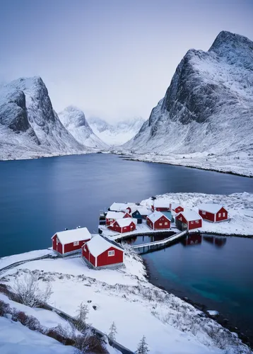 Norway, Lofoten, Hamnoy, winter, snow, water, photo,nordland,baffin island,greenland,the polar circle,lofoten,norway island,hamnoy,antarctic,northern norway,thermokarst,arctic antarctica,antartica,nor