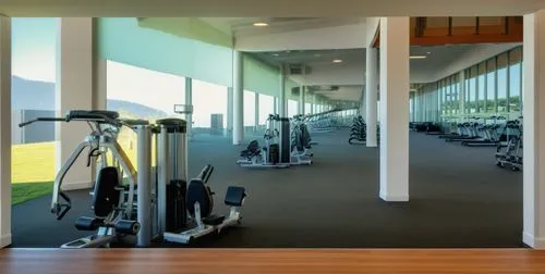 fitness room,fitness center,fitness facility,technogym,leisure facility,ellipticals,precor,elitist gym,sportsclub,sportsplex,elliptical,gymnase,sportclub,gyms,sportcity,sportcenter,powerbase,wellness,exercices,exercisers,Photography,General,Realistic