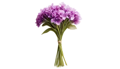 chive flower,allium,flowers png,alliums,allium sativum,ornamental onion,spring onion,carnation flower,allium giganteum,chive flowers,crown chakra flower,artificial flower,rocket flower,lavender flower,purple flower,feather carnation,grape-grass lily,flower illustrative,lisianthus,the lavender flower,Photography,Black and white photography,Black and White Photography 04