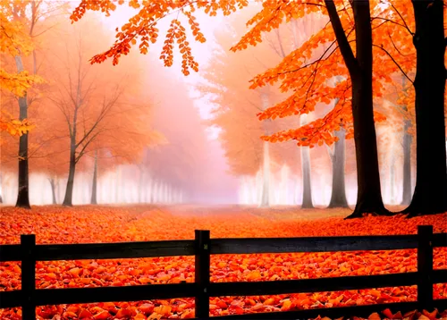 autumn background,autumn fog,autumn scenery,autumn forest,autumn landscape,autumn morning,fall landscape,foggy landscape,autumn,autumn day,autumn frame,just autumn,the autumn,autumn walk,autumn idyll,autumn park,autumn season,late autumn,autumn in the park,in the autumn,Art,Artistic Painting,Artistic Painting 23