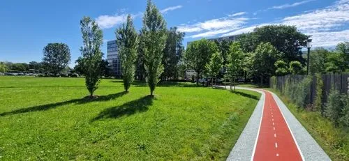 Remplace le grillage par une structure végétalisée,bicycle path,bike path,bicycle lane,tree lined path,qlizabeth olympic park,800 metres,tree lined lane,pathway,footpath,cross-country cycling,kurpark,