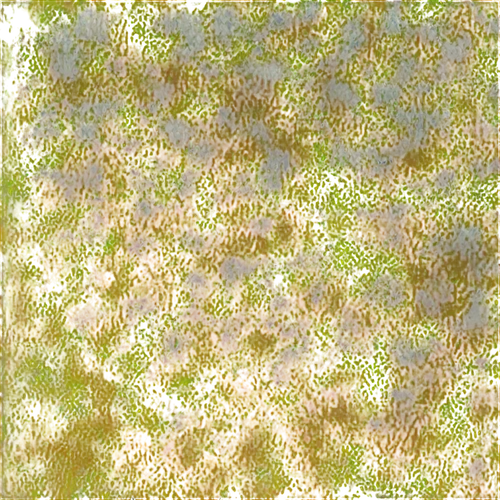 puccinia,biofilms,microsporum,autoradiography,yeasts,biofilm,immunohistochemical,neurospora,xanthomonas,neurons,fibroblasts,nanorods,brown mold,cytokeratin,hyphae,biofouling,yellow wallpaper,neurodegeneration,microglia,confocal,Photography,Artistic Photography,Artistic Photography 11