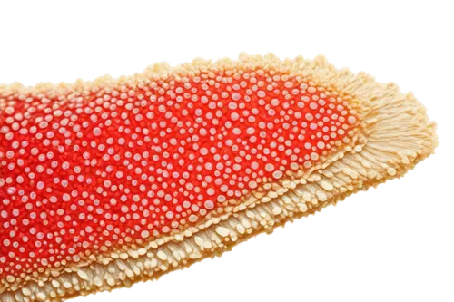 hypercholesterolemia,pollens,sporangium,teliospores,ascospores,microvesicles,microcapsules,chlamydospores,ciliated,microkernels,microhyla,endospores,spherules,microvilli,yeasts,vesicles,ciliates,lipoprotein,ciliate,keratosis,Illustration,Realistic Fantasy,Realistic Fantasy 08