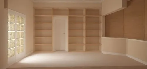 walk-in closet,bookcases,wardrobes,bookcase,bookshelves,closets,shelving,bookshelf,cupboard,cabinetry,pantry,storage cabinet,millwork,wardrobe,closet,shelves,hallway space,schrank,armoire,empty shelf,Photography,General,Realistic