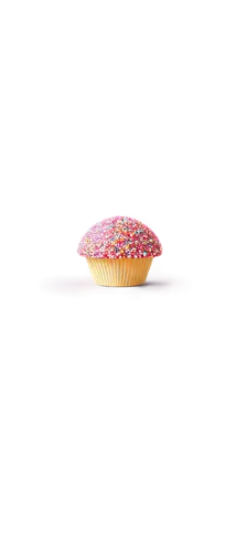 cupcake background,nudibranch,spiny sea shell,mermaid scales background,stylized macaron,seashell,donut illustration,shell,fairy bread,sea shell,coral-spot,cupcake non repeating pattern,coral fish,wrasse,orbeez,fairy wrasse,beach shell,drosophila,treehopper,krill,Art,Artistic Painting,Artistic Painting 06