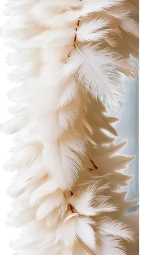 ostrich feather,foxtail,chrysanthemum background,cattail,tribble,angora,chicken feather,feather boa,silkie,cattails,animal fur,samoyedic,cottongrass,pomeranians,parrot feathers,fur,white feather,samoyed,ermine,samoyeds,Conceptual Art,Fantasy,Fantasy 04