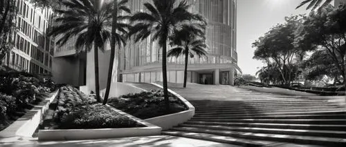 beverly hills hotel,pan pacific hotel,the dubai mall entrance,biopolis,wintergarden,habtoor,rotana,damac,royal palms,sofitel,cityplace,wilshire,blackandwhitephotography,the palm,luxehills,sathon,las olas suites,vdara,walkway,difc,Photography,Black and white photography,Black and White Photography 08