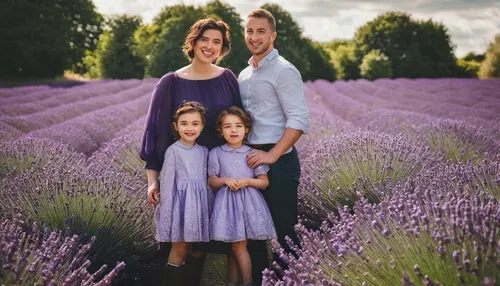 London family photo session in Lavender Field | family of 3 portrait in lavender field,verbena family,violet family,lavander,lavender fields,lavender field,lavender bunch,lavendar,the lavender flower,