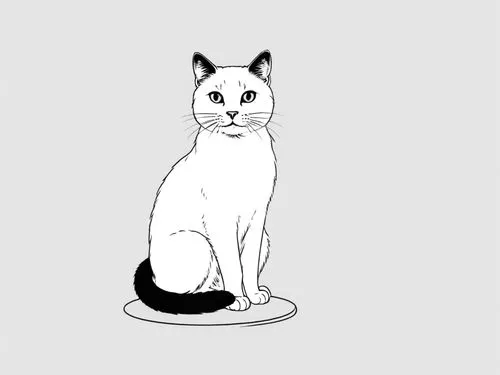 a black and white cat is sitting down on a table,cat vector,cat line art,suara,drawing cat,cartoon cat,british shorthair,Design Sketch,Design Sketch,Rough Outline