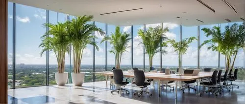 conference room,boardroom,blur office background,royal palms,modern office,board room,penthouses,meeting room,palm garden,wintergarden,interior modern design,glass wall,contemporary decor,headoffice,furnished office,oticon,two palms,coconut palms,heads of royal palms,luxury home interior,Illustration,Retro,Retro 08