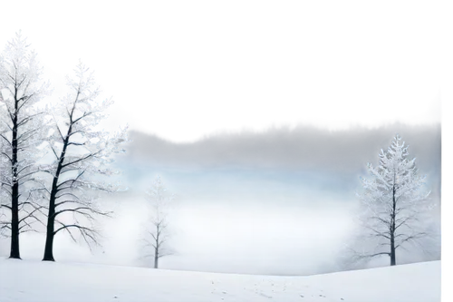 winter background,snowflake background,christmas snowy background,snow landscape,winter landscape,winter forest,winterland,snow trees,hoarfrost,snowy landscape,snow scene,winter dream,vinter,birch tree background,winter night,landscape background,winterreise,christmas landscape,frostiness,ice landscape,Photography,Documentary Photography,Documentary Photography 20