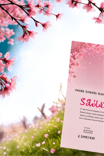 japanese sakura background,sakura digital paper,sakura trees,sakura background,saliya,salix,sakura branch,sakura blossom,saao,sakura,saadi,sakura tree,sakura blossoms,sakura cherry tree,sakura cherry blossoms,sakura flowers,salicin,sakura flower,salix mount aso,sasai,Unique,Design,Character Design