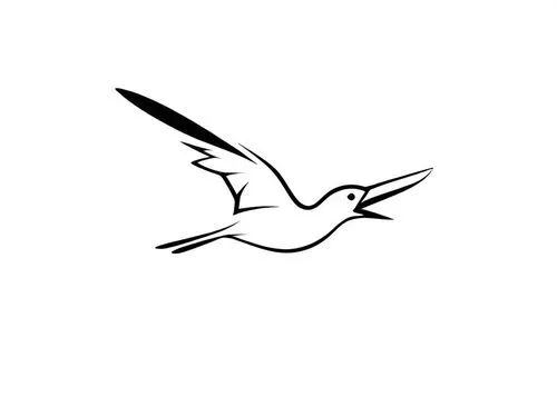 dove of peace,peace dove,fairy tern,tern bird,tern,quickbird,Design Sketch,Design Sketch,Rough Outline