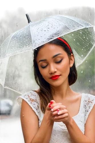 red rose in rain,rainswept,asian umbrella,sprinkling,in the rain,umbrella,rainiest,rainfall,summer umbrella,effluvia,rain,lluvia,monsoon,rain drop,silver rain,rainy weather,rainy season,light rain,raining,heavy rain,Illustration,Retro,Retro 15