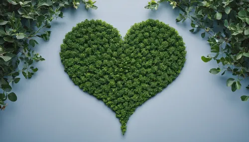 heart shrub,green wallpaper,environmentally sustainable,love earth,loveourplanet,eco,sustainability,green living,tree heart,nature love,carbon footprint,green wreath,ecological sustainable development,ecologically friendly,spring leaf background,green plants,leaf background,sustainable,ivy frame,ecologically,Photography,Fashion Photography,Fashion Photography 06