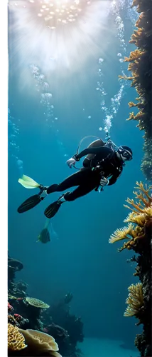 underwater background,freediving,similan,underwater fish,sea life underwater,underwater world,freediver,underwater landscape,under water,marine tank,diving fins,submersible,marine life,undersea,similan island,ocean underwater,under the water,underwater,spearfishing,scuba diving,Illustration,Realistic Fantasy,Realistic Fantasy 41