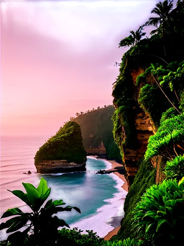 paparoa national park,pacific coastline,tropical floral background,cliffs ocean,landscape background,uluwatu,hawaii,punakaiki,north island,phuket province,coastal landscape,tropical sea,tropical and subtropical coniferous forests,nusa penida,samoa,tropical island,tropics,byron bay,tropical house,south pacific,Conceptual Art,Oil color,Oil Color 14