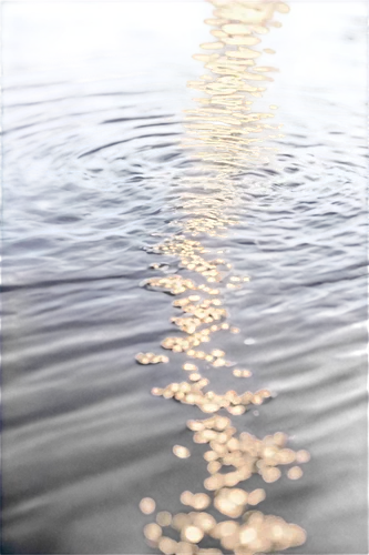 ripples,rippling,water surface,reflection of the surface of the water,rippled,reflections in water,reflection in water,ripple,water scape,water reflection,waterscape,waterline,waterbodies,on the water surface,wavelets,waterbody,surface tension,water waves,droplets of water,wasser,Photography,Black and white photography,Black and White Photography 01