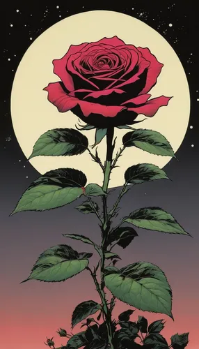 rose flower illustration,rose png,landscape rose,culture rose,blue moon rose,disney rose,the sleeping rose,japan rose,way of the roses,romantic rose,arrow rose,rose order,woods' rose,rose bloom,ground rose,free land-rose,rose flower drawing,rose,sky rose,seerose,Illustration,American Style,American Style 06