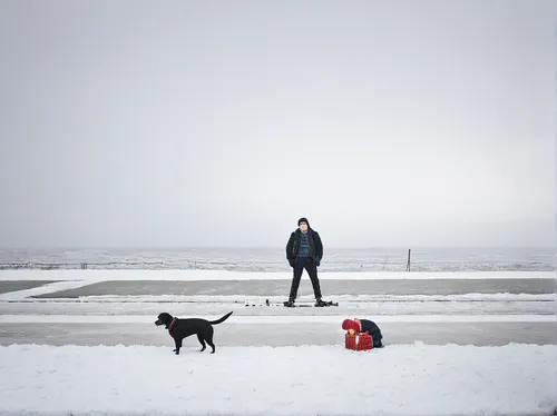 Compose a humorous narrative about the mischievous antics of a playful Borze.,boy and dog,icelanders,girl with dog,ice fishing,salt-flats,stray dog on beach,salt flat,sled dog,walking dogs,dog walker,