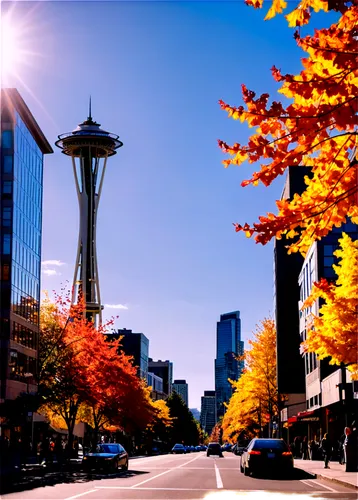 seattle,space needle,seattleite,seattleites,pdx,seatac,yesler,fall foliage,portland,portlanders,belltown,indian summer,seattlepolitics,olympia washington,lynnwood,artthielseattle,washington,northwest,spokane,burien,Illustration,Black and White,Black and White 31