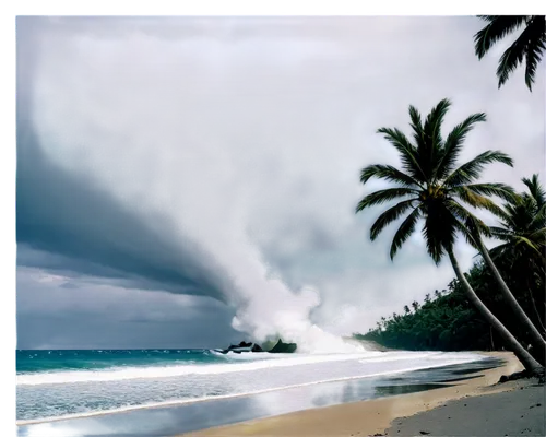 Tsunami wave, blue ocean water, crashing foam, splashing spray, massive destructive power, palm trees bent backwards, beachside buildings destroyed, debris scattered, dark cloudy sky, dramatic lightin