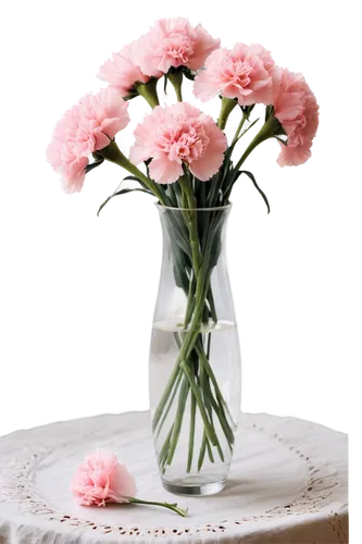 pink carnations,flowers png,flower background,carnations arrangement,pink carnation,pink floral background,paper flower background,bouquet of carnations,spring carnations,artificial flower,carnations,artificial flowers,pink chrysanthemums,gerbera flower pink,carnation flower,flower wallpaper,pink flowers,flower arrangement lying,flower arrangement,dianthus,Photography,Black and white photography,Black and White Photography 02