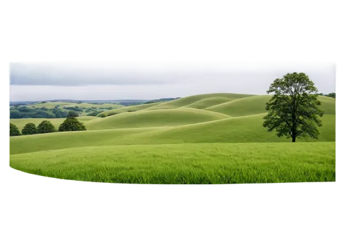 green landscape,aaaa,landscape background,green fields,greenfeld,nature background,green background,aaa,meadow landscape,background view nature,landform,green meadow,cypresses,green wallpaper,background vector,rolling hills,greengrass,greensward,landschaft,windows wallpaper,Art,Artistic Painting,Artistic Painting 23