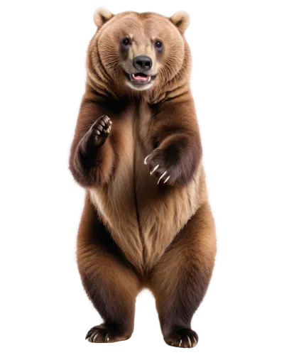 brown bear,bearlike,scandia bear,european brown bear,cute bear,bear,nordic bear,bearse,great bear,left hand bear,bearup,bearman,ursine,bearmanor,bearish,bear teddy,cub,bearss,bear bow,forebear,Illustration,Japanese style,Japanese Style 11