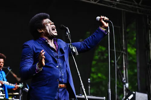 blues harp,blues and jazz singer,beatenberg,afro american,black pete,wireless microphone,backing vocalist,music on your smartphone,microphone stand,moor,chichewa live,jazz singer,afroamerican,morgan,elvis impersonator,black power button,afro-american,lewisham,live performance,taj-mahal,Art,Classical Oil Painting,Classical Oil Painting 08