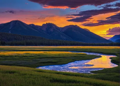 Devise a meme illustrating the beauty of the Lamar Valley during sunset in Yellowstone.,jasper national park,vermilion lakes,bow valley,united states national park,yukon territory,canadian rockies,ban