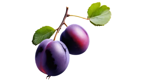 Ripe plums, still life, solo, fruit, purple skin, sweet juicy flesh, green leaves, stem attached, natural lighting, 3/4 composition, shallow depth of field, warm color tone, cinematic lighting, realis