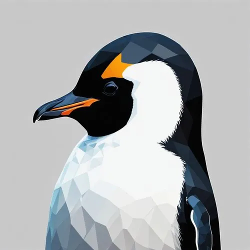 gentoo penguin,penguin,chinstrap penguin,emperor penguin,gentoo,kormoran,Photography,General,Realistic