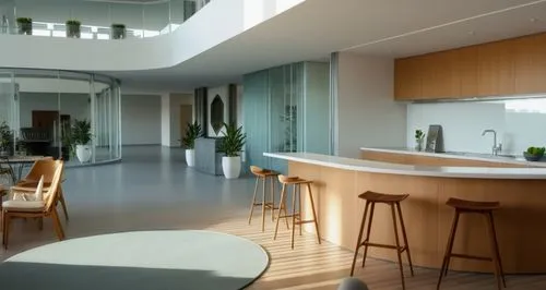 Aerial view of the office floor. White columns with white wooden planks, transparent glass, white walls, different shades of brown. gray stone pots, plants. Respect the original colors, sun and shadow