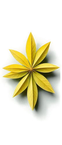 yellow maple leaf,lotus png,lotus leaf,spring leaf background,yellow leaf,leaf background,golden leaf,ginkgo leaf,gold flower,illicium,lotus leaves,bicolored flower,leafcutter,star flower,bay leaf,yellow petal,yellow petals,six-pointed star,forsythia,cinquefoil,Unique,Paper Cuts,Paper Cuts 07