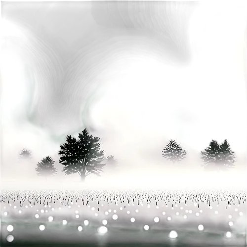 cotton grass,foggy landscape,salt meadow landscape,rain field,ground fog,dandelion field,dense fog,dandelion meadow,small meadow,meadow in pastel,mist,swampy landscape,fog,blooming field,snow fields,meadow,trembling grass,silver grass,veil fog,foggy forest,Illustration,Black and White,Black and White 04