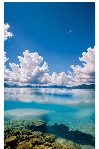 great barrier reef,halmahera islands,lake taupo,lake baikal,wakatobi,underwater landscape,heron island,calm water,mono lake,natuna indonesia,baikal lake,fiji,cook islands,widi islands,andaman sea,philippine sea,halmahera,moorea,raja ampat,lake mcdonald,Photography,Artistic Photography,Artistic Photography 01