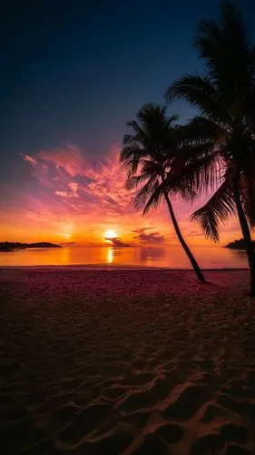 tropical beach,sunrise beach,sunset beach,pink beach,hawaii,caribbean beach,coconut palms,beach landscape,brazilian beach,caribbean,beautiful beaches,cook islands,coconut trees,tropical island,pink da