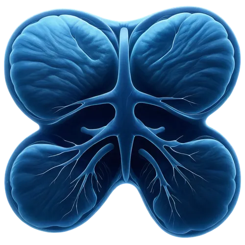 nephropathy,creatinine,aspergillosis,pneumonitis,pleuropneumonia,nephrotic,pyelonephritis,pulmonology,uremia,pulmonary,mediastinal,kidneys,renal,bronchiolitis,nephrology,glomerulosclerosis,pleural,sarcoidosis,respiratory,emphysema,Conceptual Art,Sci-Fi,Sci-Fi 21