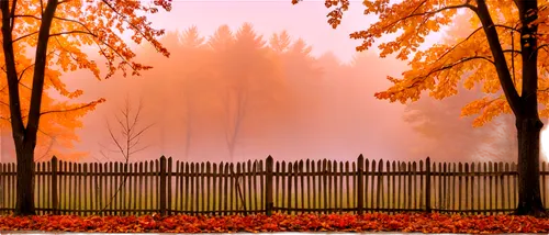 autumn fog,autumn background,autumn landscape,autumn morning,foggy landscape,autumn scenery,autumn forest,fall landscape,autumn frame,fence gate,wooden fence,garden fence,autumn day,the autumn,autumn decoration,autumn in the park,picket fence,morning mist,autumn idyll,fence,Illustration,Vector,Vector 04