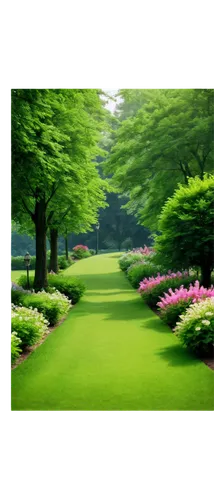 green landscape,green border,green lawn,aaa,golf course background,artificial grass,landscape background,golf lawn,landscape designers sydney,green forest,green garden,green space,golf course grass,green background,patrol,green grass,flowers png,ornamental plants,japan garden,perennial plants,Conceptual Art,Fantasy,Fantasy 30