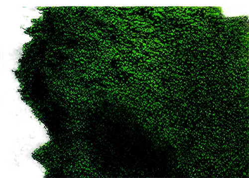 background ivy,bitmapped,seamless texture,green border,green tree phyton,tree texture,generated,dithered,shrubbery,hedge,ivy frame,green trees,obfuscated,tree moss,arborescent,framebuffer,lidar,vegetation,green tree,alnus,Art,Artistic Painting,Artistic Painting 06