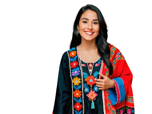 Mapache Dibujo, Mexican woman, traditional dress, colorful embroidery, long black hair, bright smile, warm skin tone, ornate necklace, vibrant shawl, standing, confident pose, soft natural lighting, s