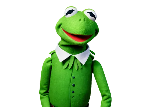 Muppet character, Kermit the Frog, green skin, big round eyes, collar, solo, standing, posing, Muppet show, Jim Henson style, soft focus, warm lighting, cinematic composition, shallow depth of field.,