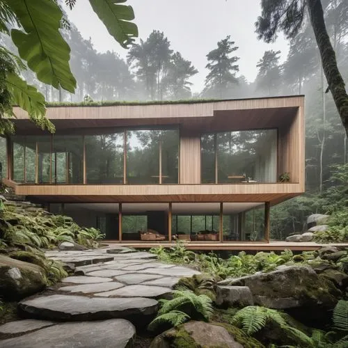 forest house,house in the forest,house in mountains,house in the mountains,mid century house,timber house,Photography,General,Realistic