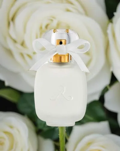 Arrière-plan sur les roses blanches,scent of jasmine,guerlain,perfume bottle,fragrance,rmk,scent of roses,parfum,perfumery,gardenia,coconut perfume,parfums,perfuming,disney rose,creating perfume,fragr